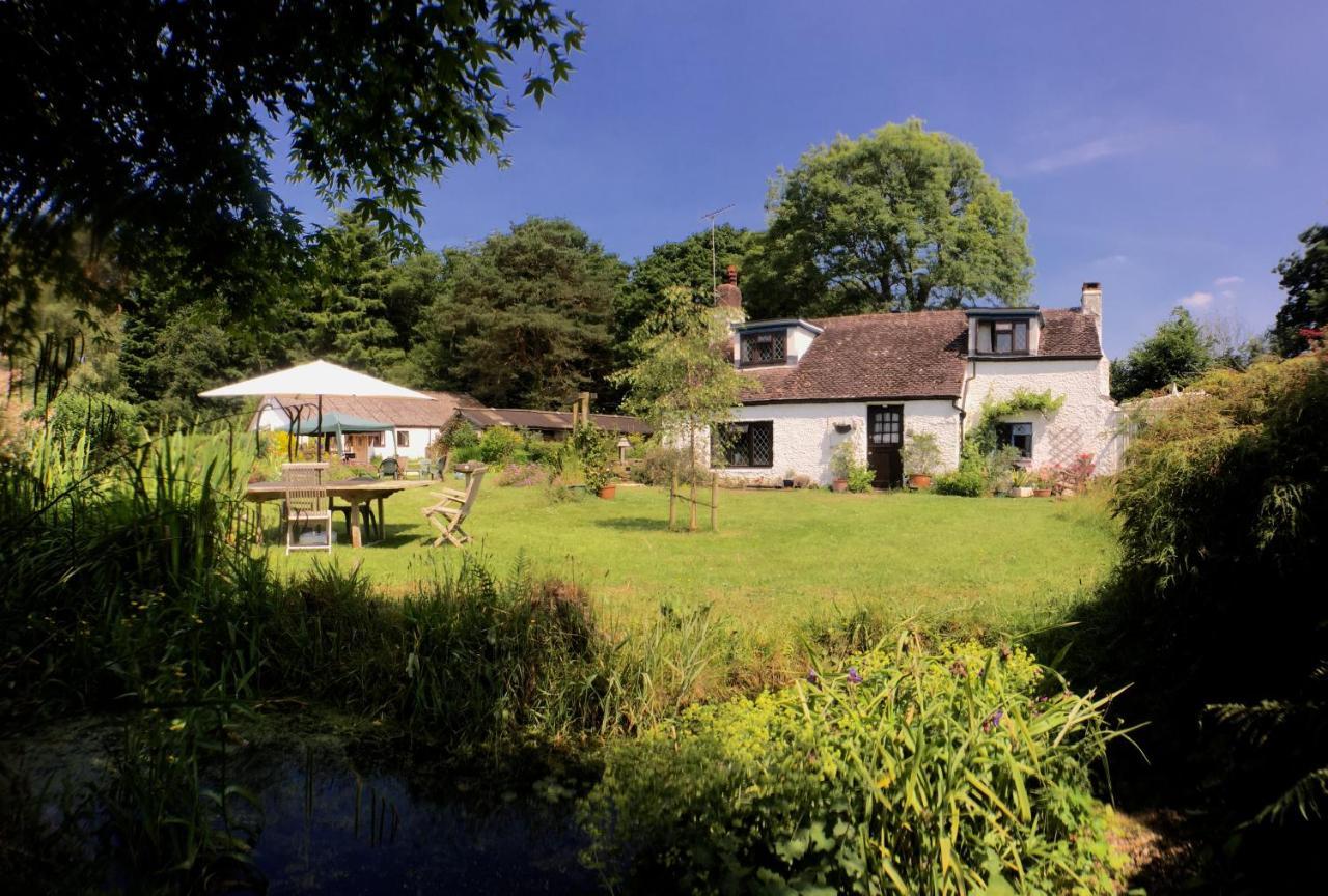 Chaseborough Farm Bed & Breakfast Verwood Ngoại thất bức ảnh