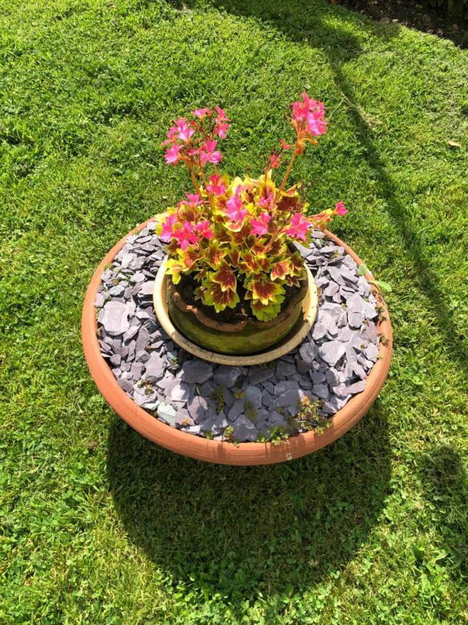 Chaseborough Farm Bed & Breakfast Verwood Ngoại thất bức ảnh